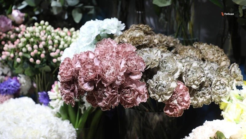      Фото: ИА «Победа26»