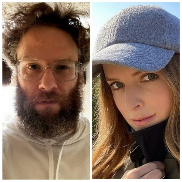     Сет Роген и Анна Кендрик станут родителями поневоле