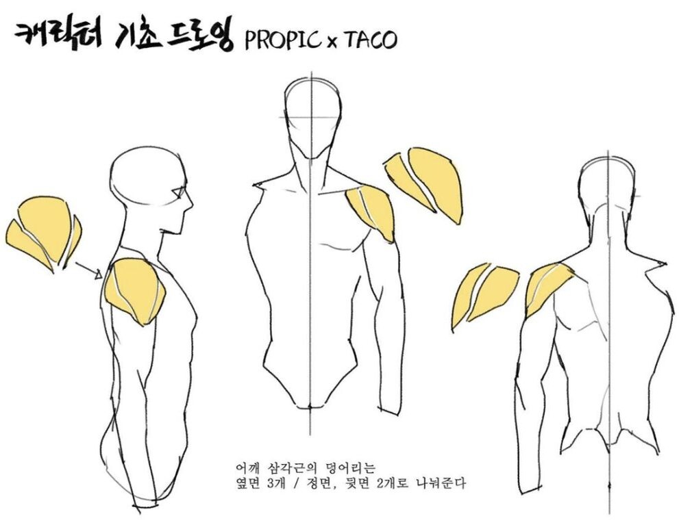 Источник: https://www.pinterest.com/pin/5559199530644458/