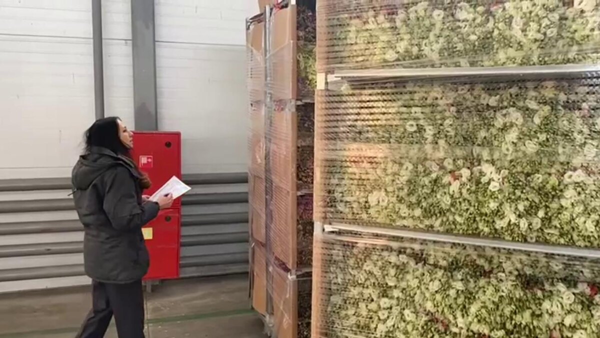    Фото: Россельхознадзор