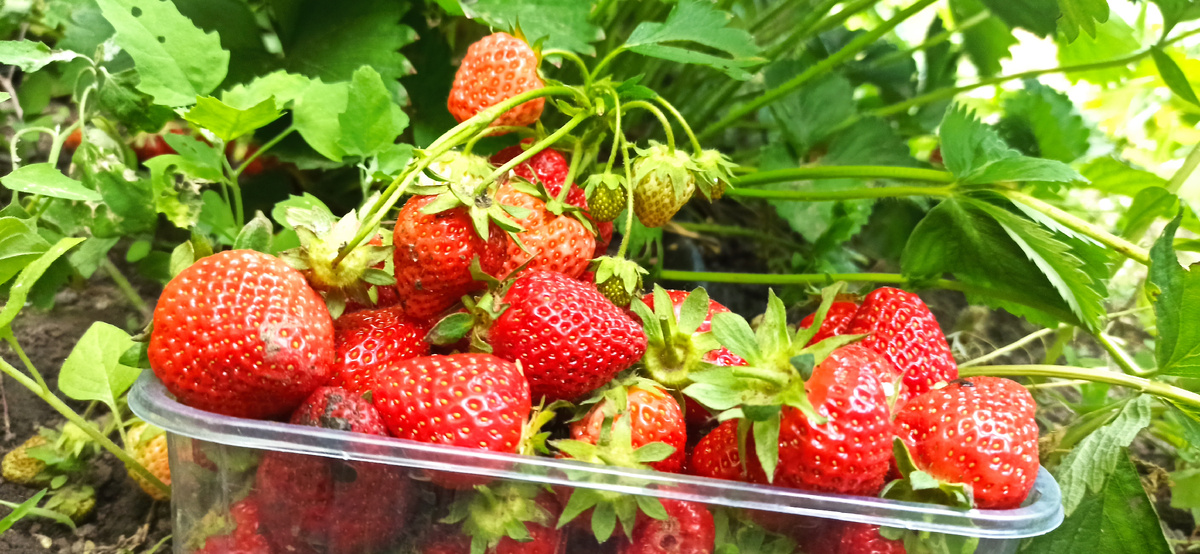 Вся мелочь после этого прям крупная