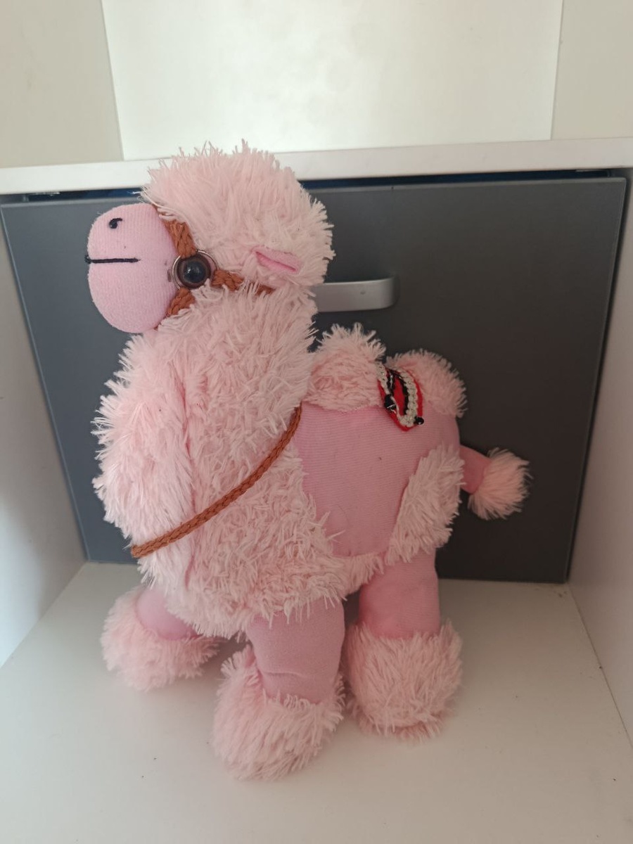 Верблюд из Египта