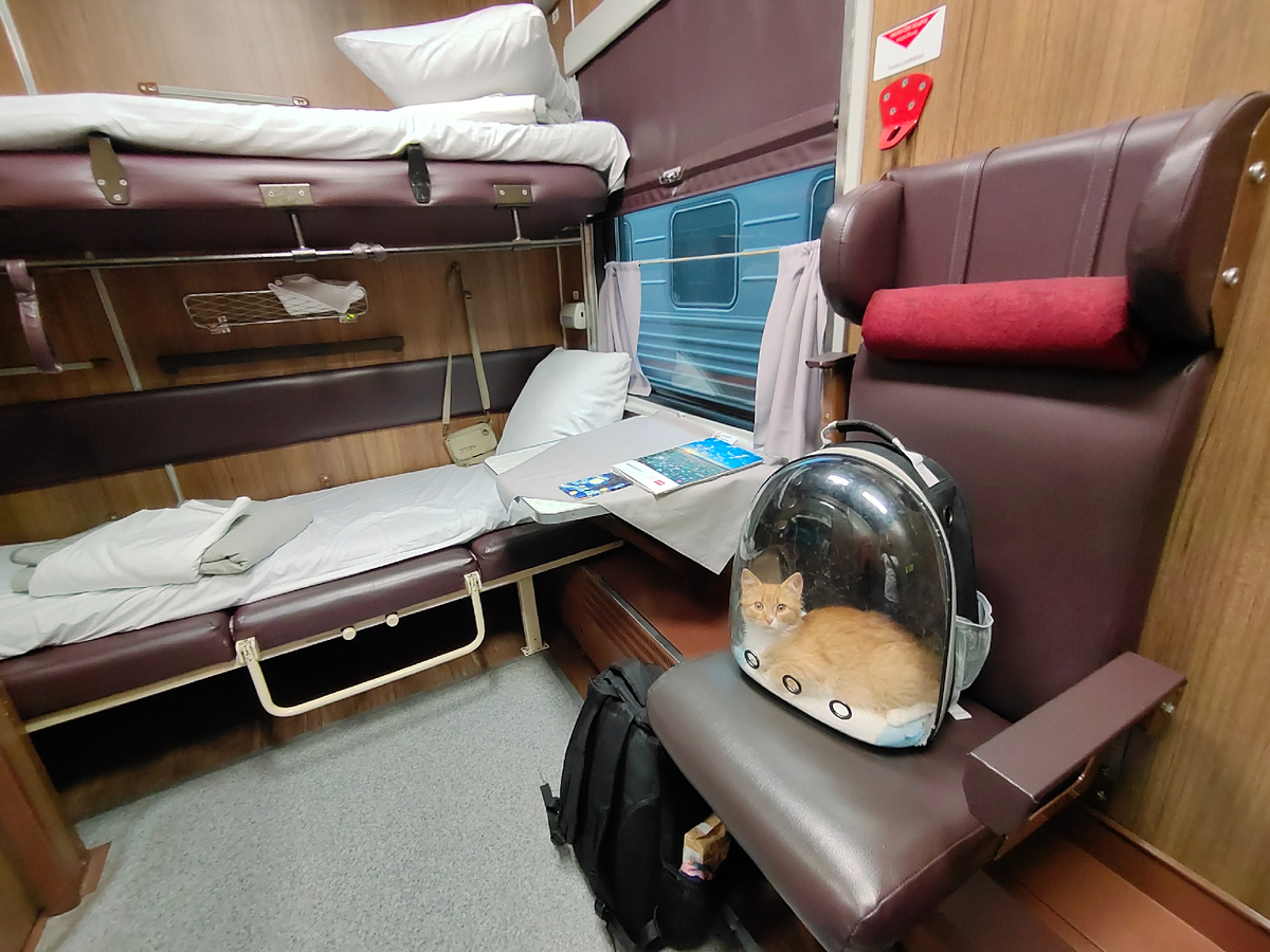 Провоз животных на РЖД