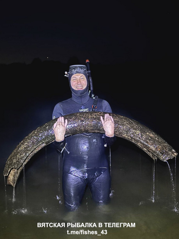    В Кировской области подводные охотники обнаружили двухметровый бивень мамонта