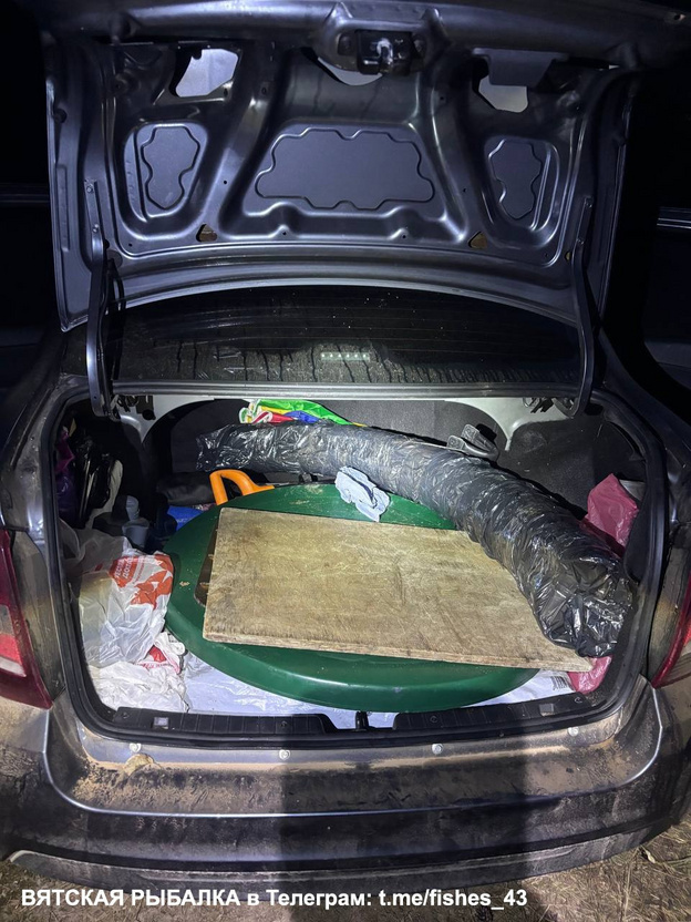    В Кировской области подводные охотники обнаружили двухметровый бивень мамонта