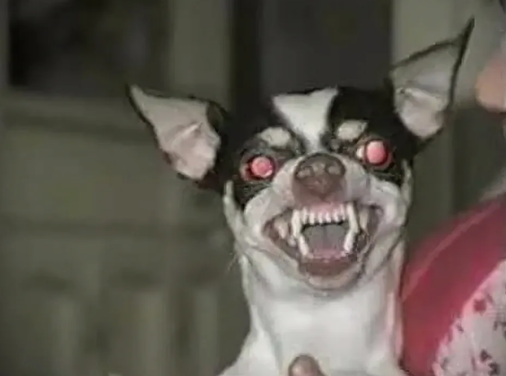 Фото с сайта Pinterest