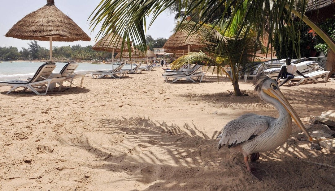 Мобильный интернет и сотовая связь в Сенегале