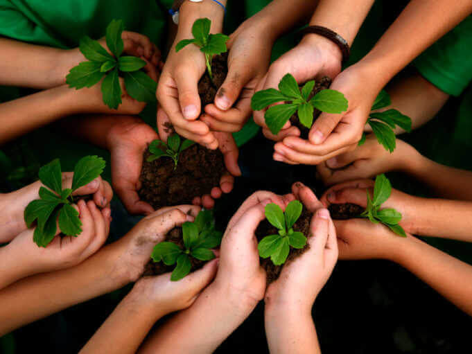    Фото: sochinews.io