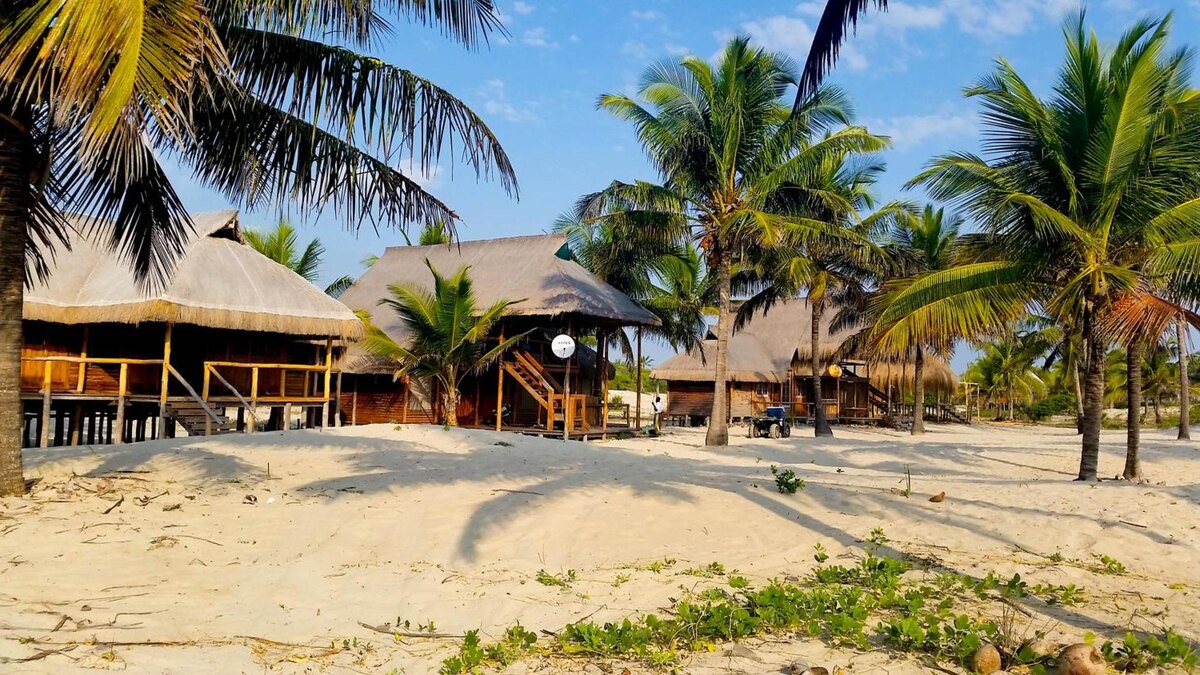 Мобильный интернет и сотовая связь в Мозамбике