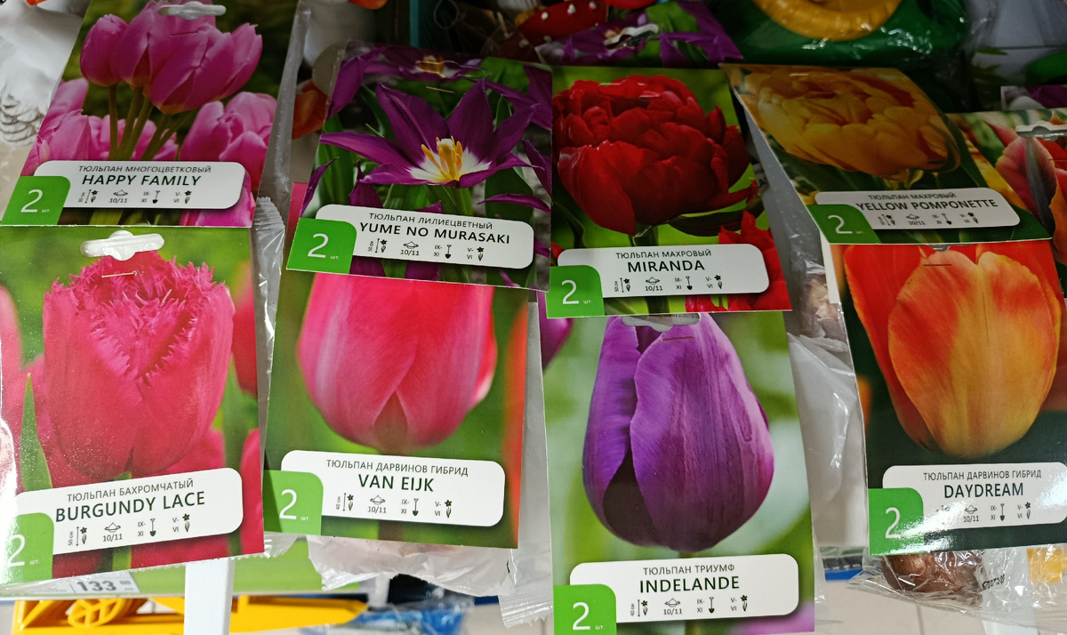 в упаковке по 2 луковицы