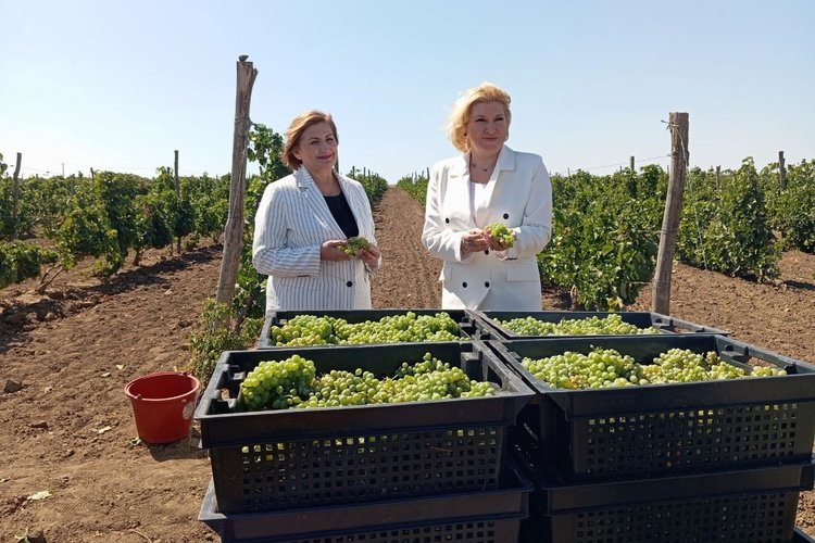    Фото: Правительство Ростовской области