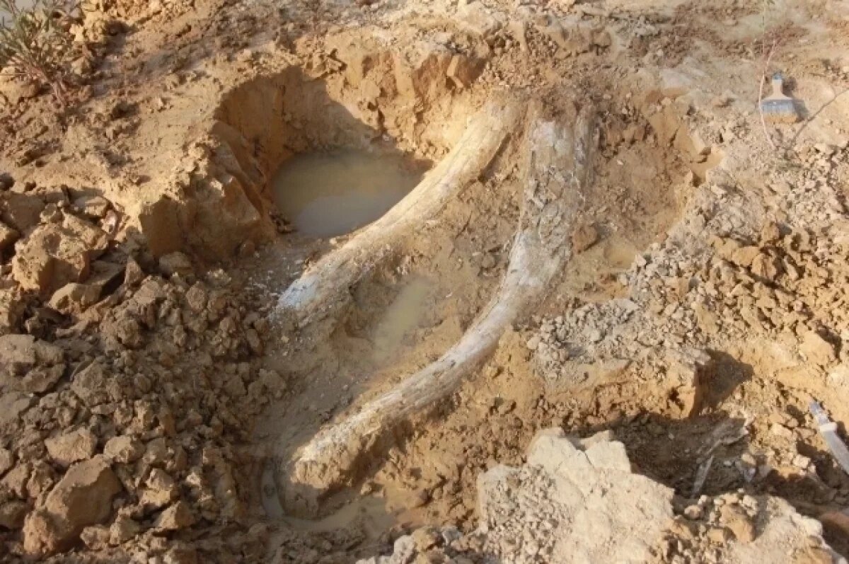    Что в имени тебе твоем?