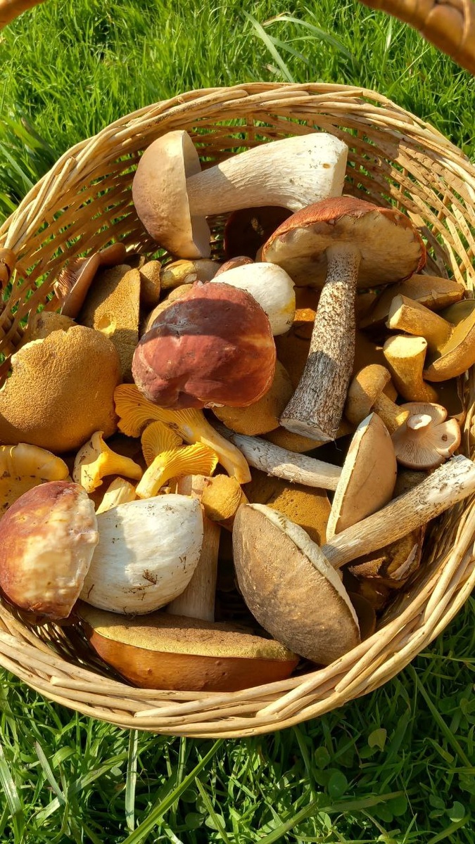 Фото из архива автора