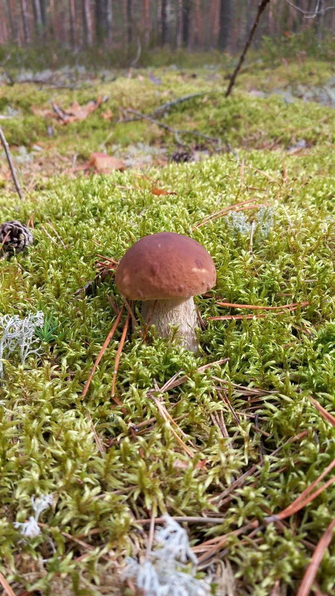 Фото из архива автора 