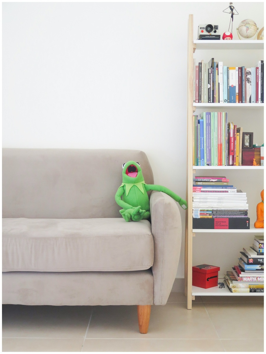 https://unsplash.com/photos/the-muppets-kermit-plush-toy-on-gray-sofa-ohbfKsIEbJQ