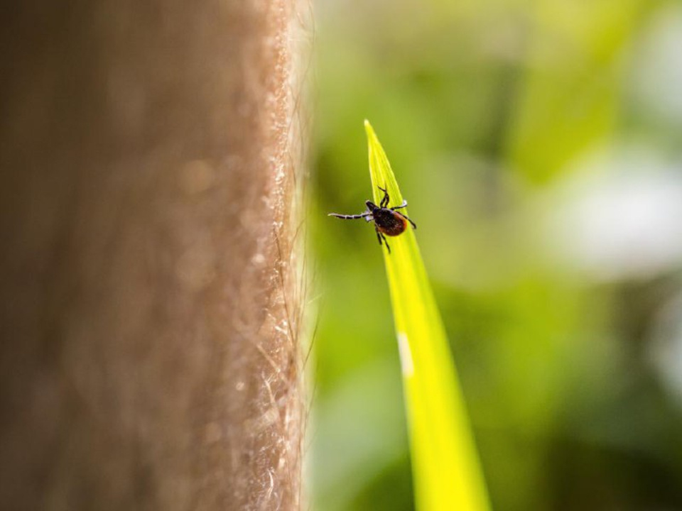    Фото: istockphoto.com