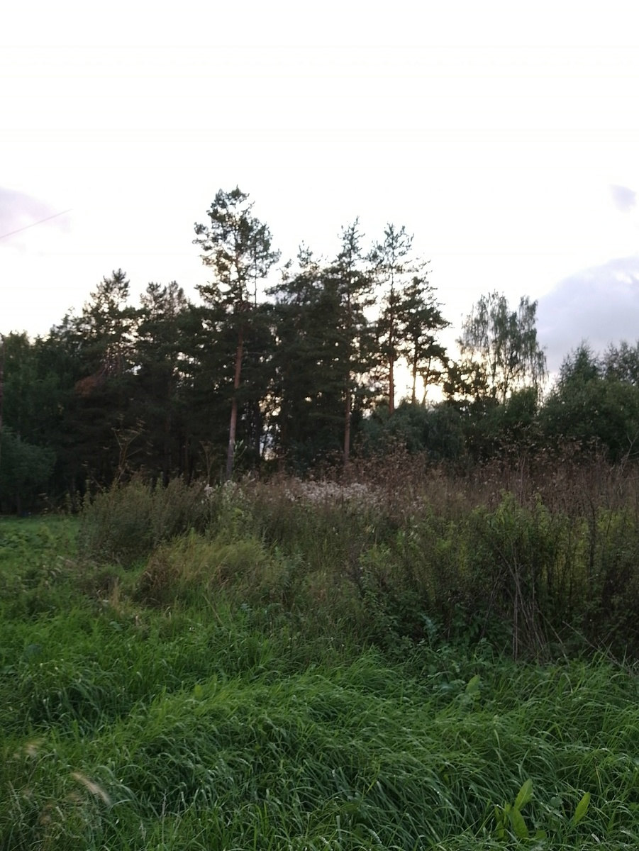 Закат 28 августа.