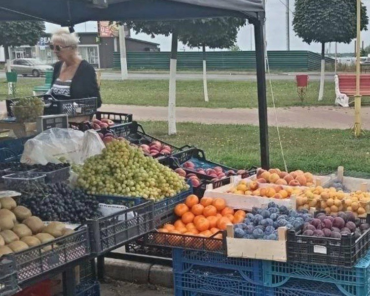     В Курск составили 11 протоколов из-за незаконной торговли