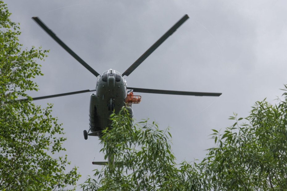    Наталья Шатохина/NEWS.ru