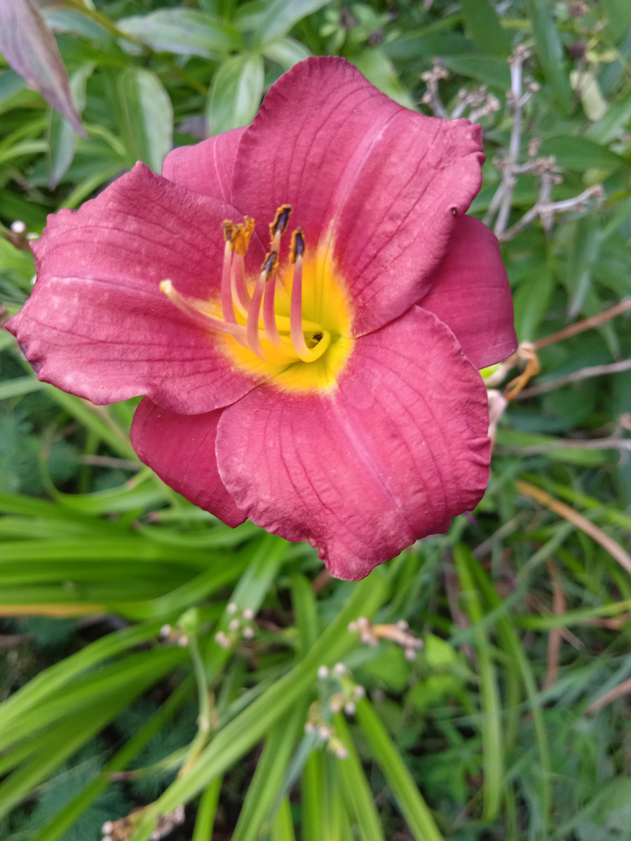 Фото автора канала. 