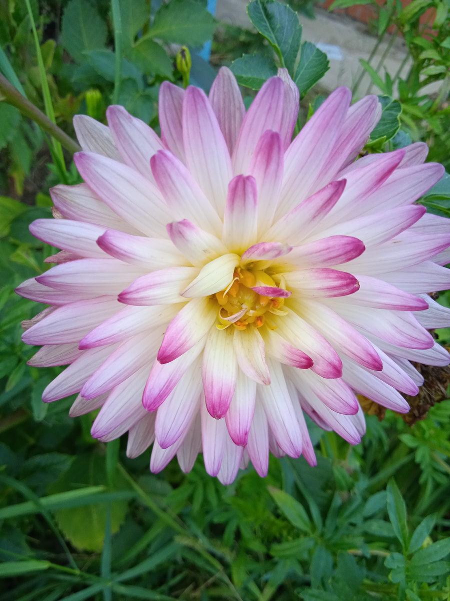 Фото автора канала. 