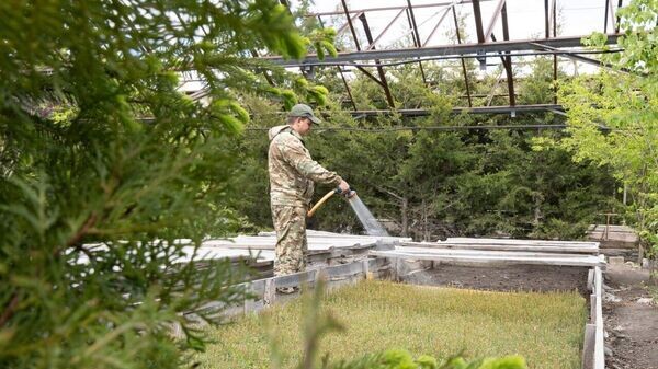    © ТГ-канал Сергея Аксенова