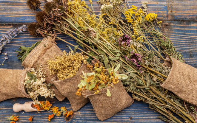 Источник фото: shutterstock.com