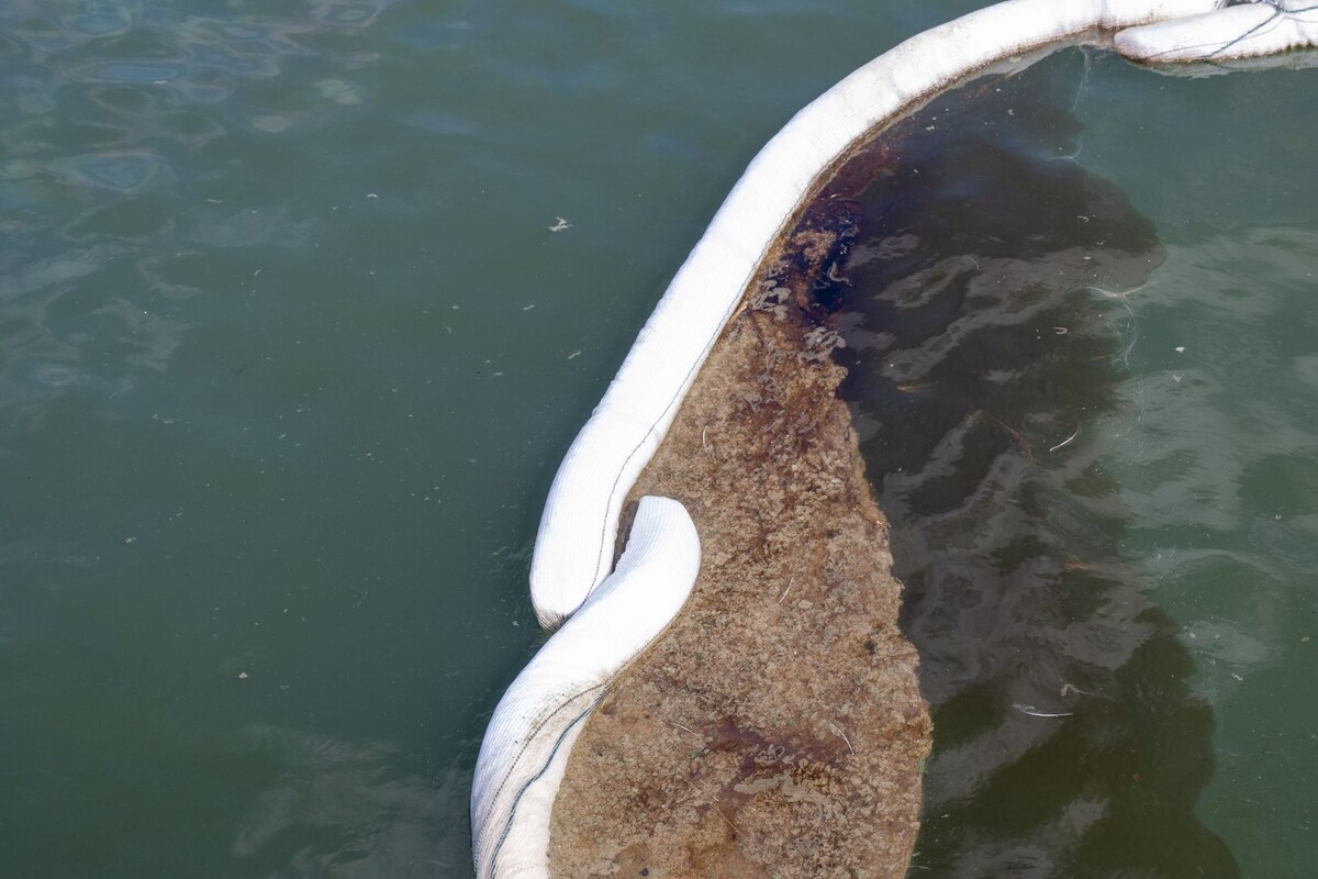     / Источник: © Global Look Press