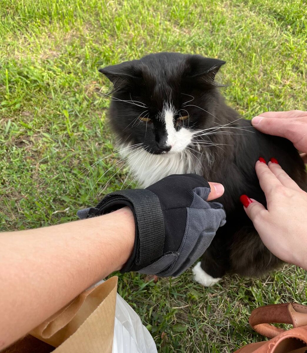 Вот он, красавец.😆