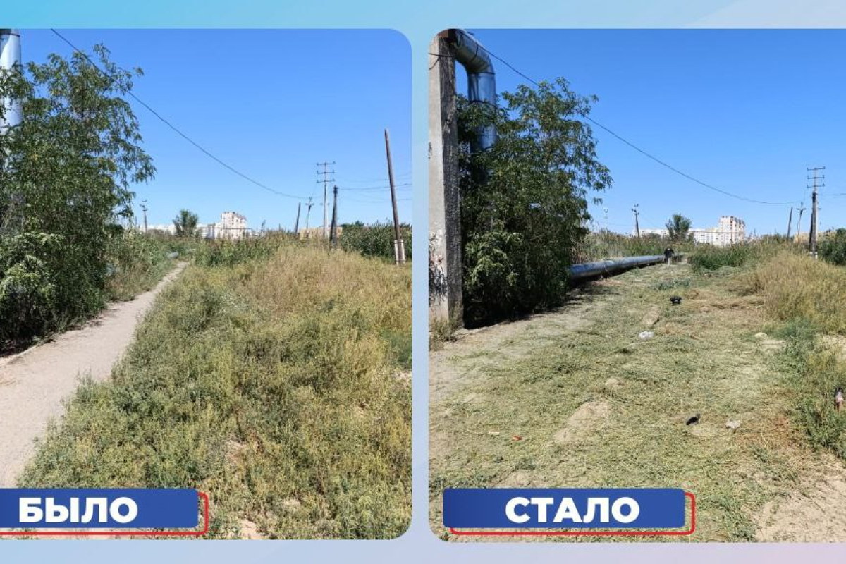    Фото: Игорь Седов, Источник: t.me/igorsedow