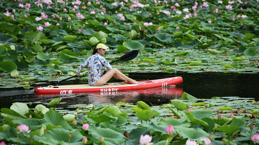   Фото: © РИА Новости/ Антон Балашов