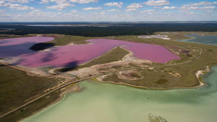   РИА Новости / Александр Кряжев