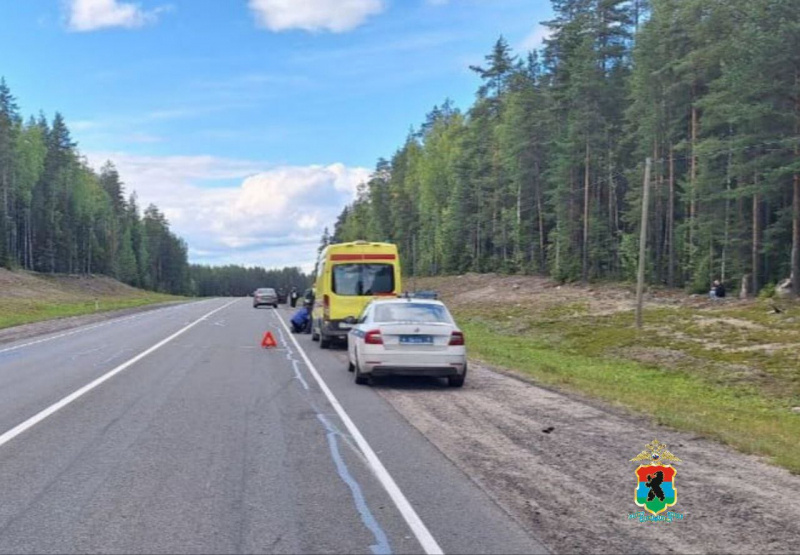    Пешехода сбили насмерть на трассе в КарелииТелеграм-канал полиции Карелии
