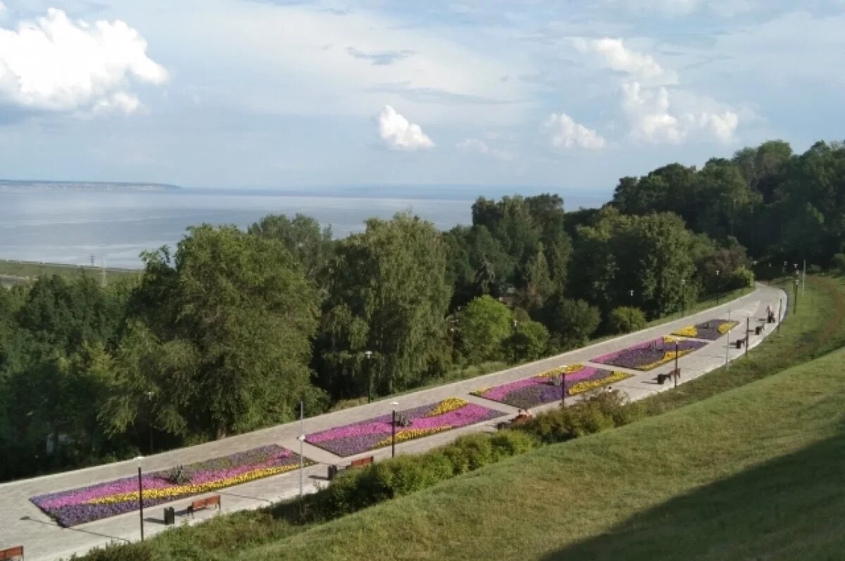    В Ульяновске впервые с 1980-х годов проводят инвентаризацию деревьев