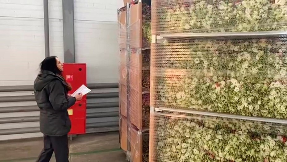    Автор фото: Россельхознадзор