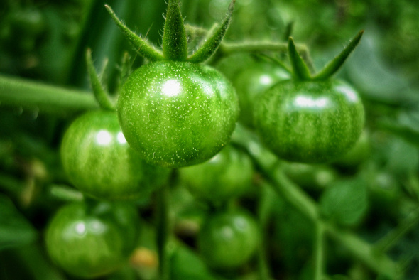      Glen Hayoge/Unsplash