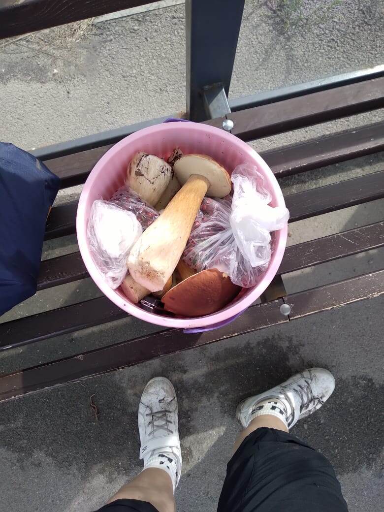 Немножко моего урожая