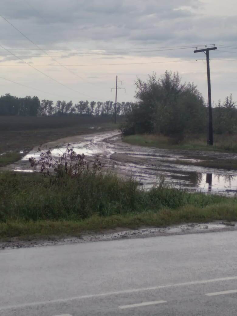 Вышли на остановке, сейчас пойдем в лес...