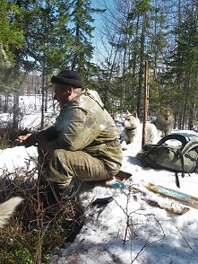 Фотографии Татьяны Немшановой. Май в северной тайге. Май на лыжах.