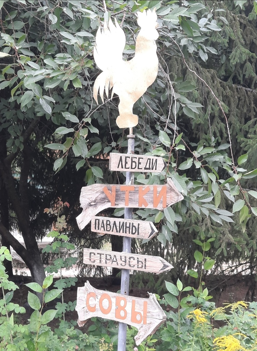 Указатель. Фото автора 