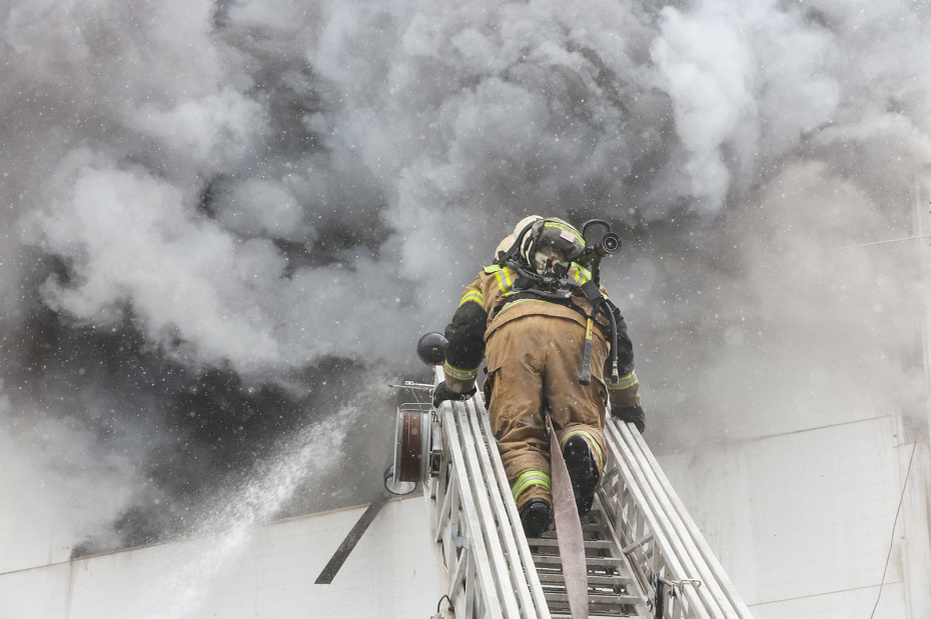    Алексей Белкин/NEWS.ru