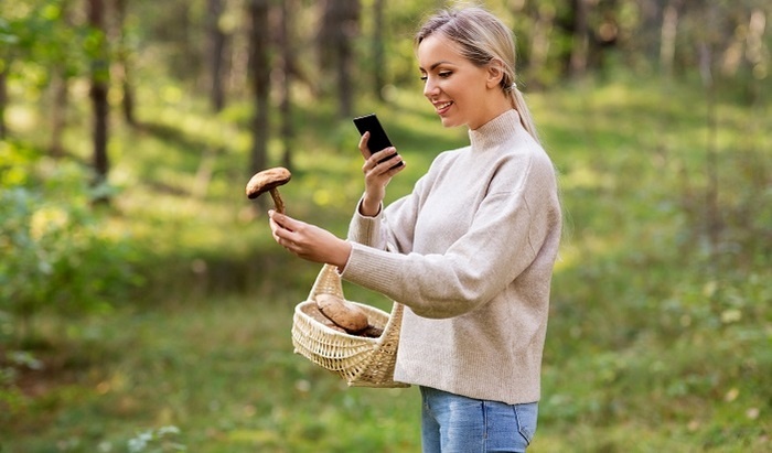    Миллионный штраф грозит россиянам за сбор редких грибов