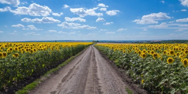    Фото: Ставропольский филиал ФГБУ «Россельхозцентр»