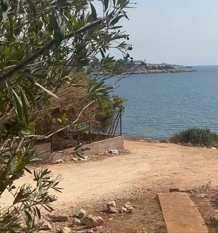 Из желтого, правда, только глинистый бережок дайвцентра