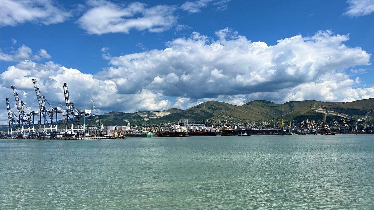    Фото: телеканал «Краснодар»