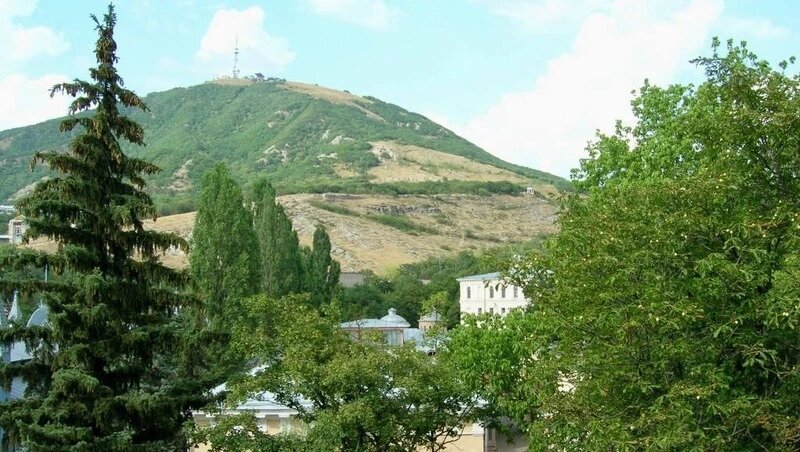      Фото: Соцсети главы минприроды Ставрополья Олега Безменова