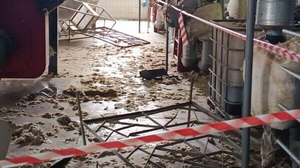    © Telegram / Следственный комитет Беларуси