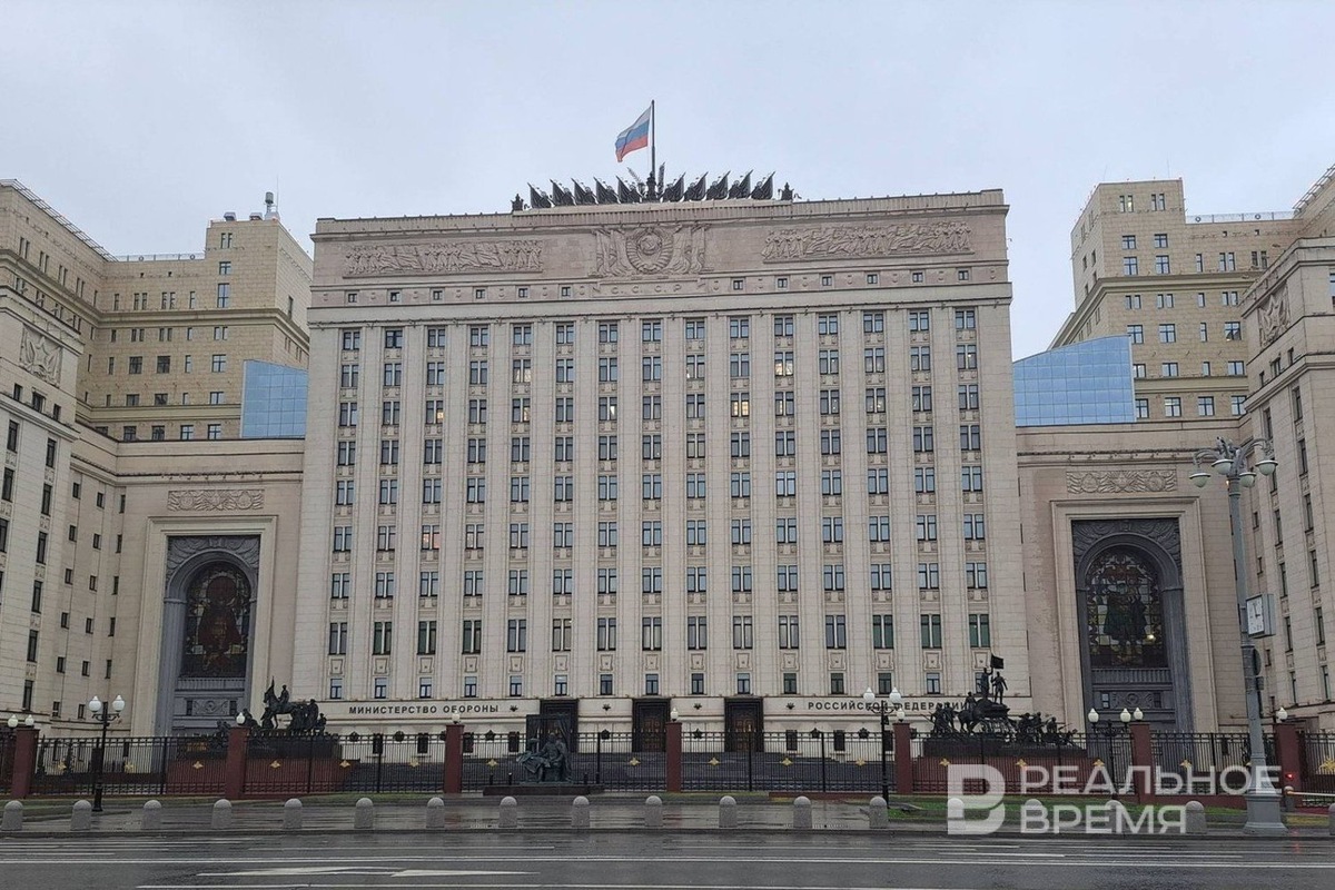   Дарья Пинегина / realnoevremya.ru