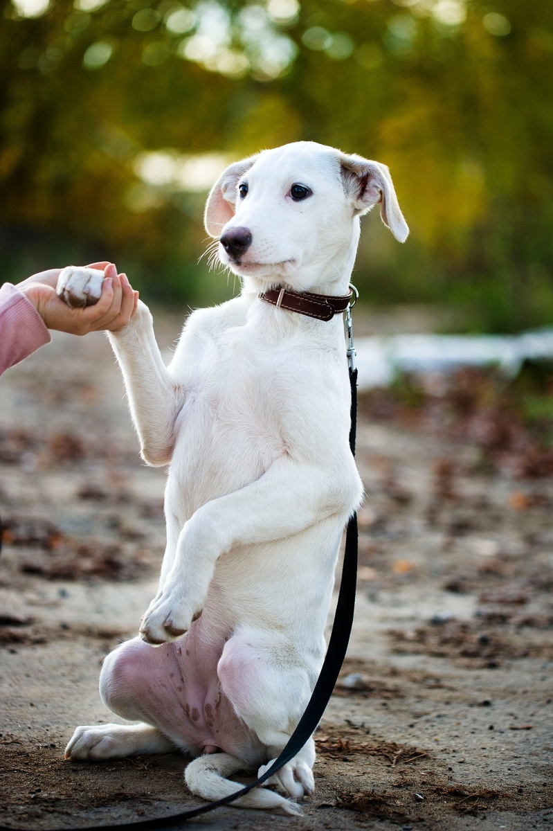 Да. Вот такая я была!