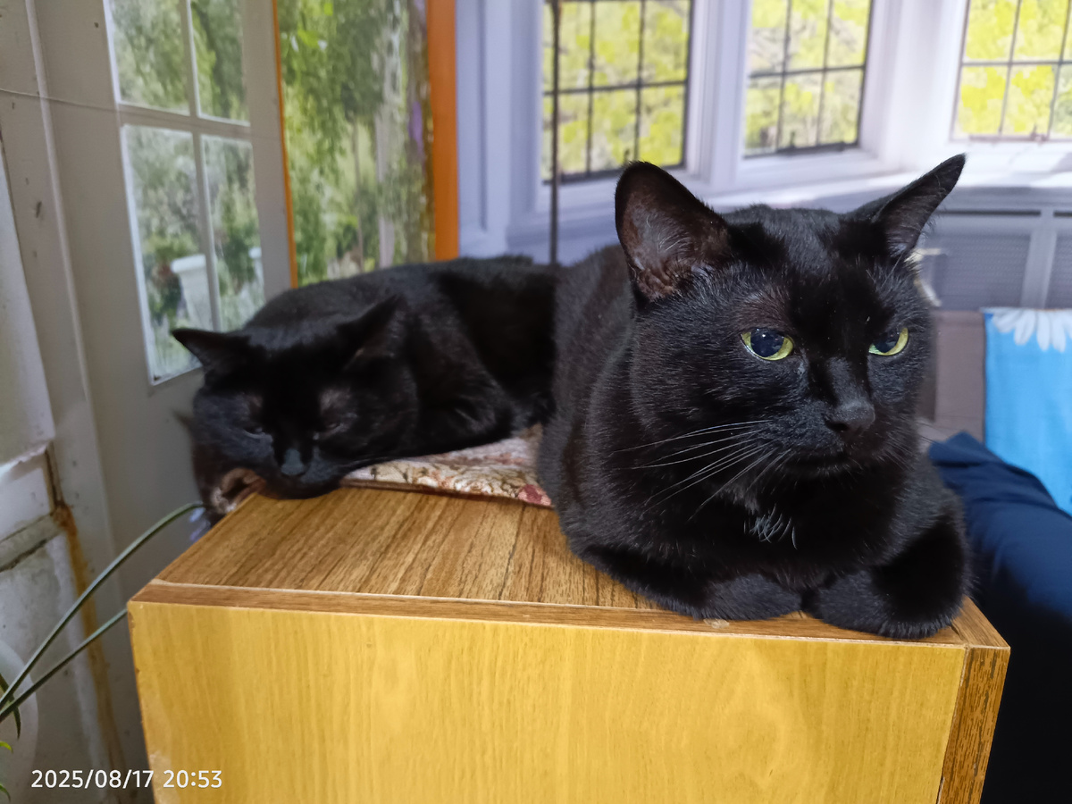 Мама Боня с дочей Мусикой.